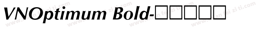 VNOptimum Bold字体转换